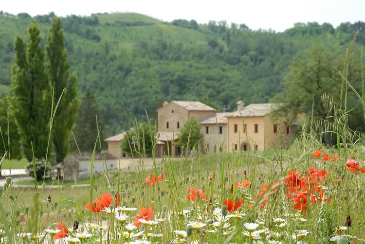 Agriturismo Verziere Villa Fermignano Exterior foto