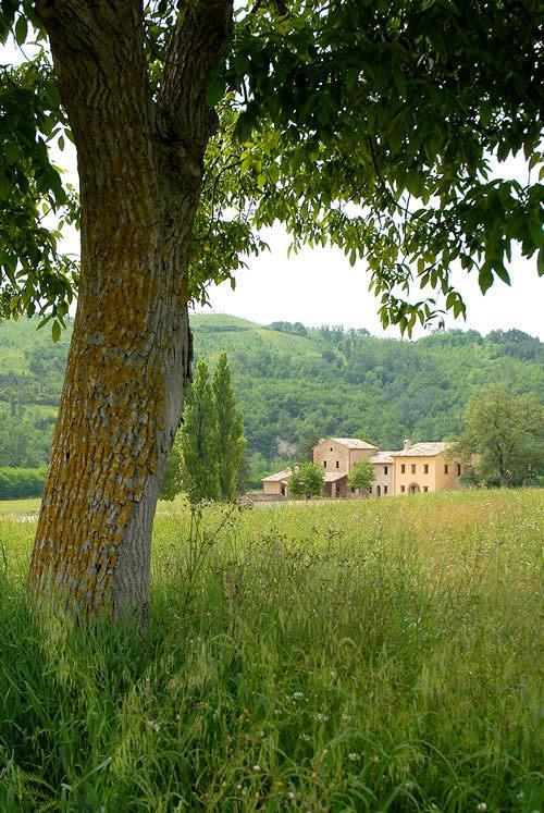 Agriturismo Verziere Villa Fermignano Exterior foto
